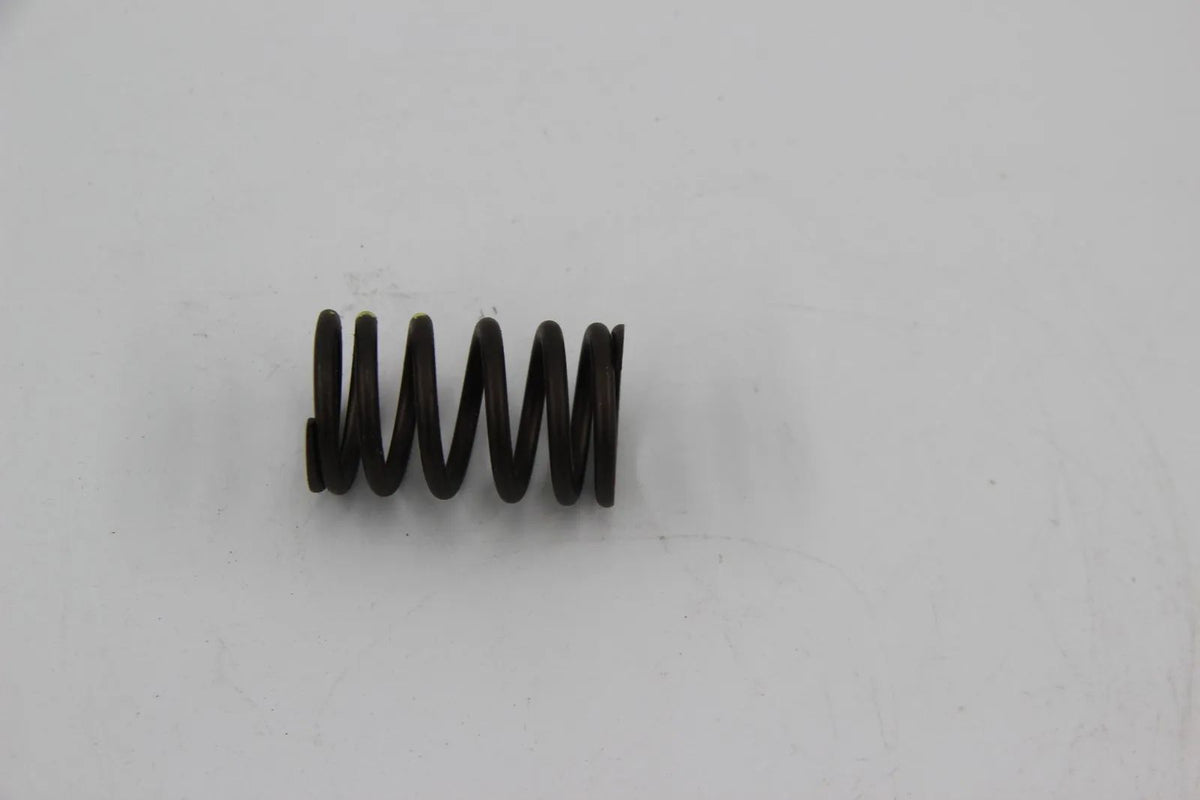 BMW E30 E28 E34 M20 M21 Ventilfeder D=30,8MM Ventilsteuerung  11341279211 Neu