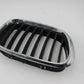 Original BMW E53 X5 3.0d-4.6is Ziergitter Niere Vorne Rechts Chrom 51138247674