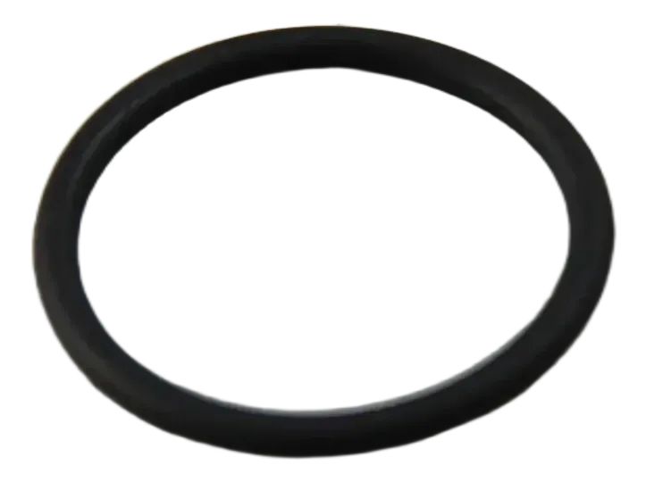Original BMW E87 E46 E39 E38 E83 E53 E71 O-Ring 22X2 13537787236