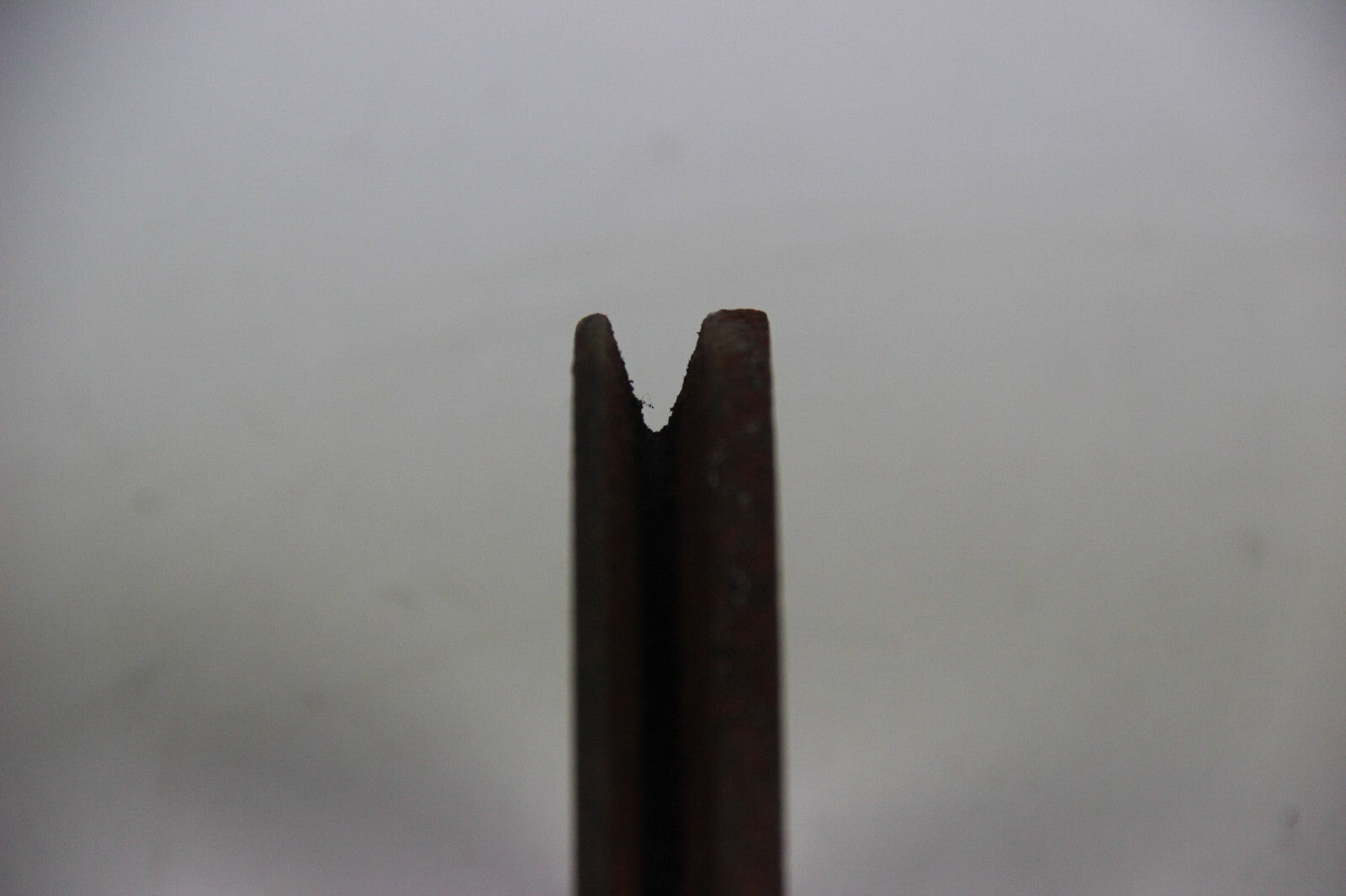 44466995