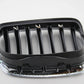 Original BMW X5 E70 X6 E71 Ziergitter Front links Niere Grill 51137157687