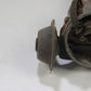 Original BMW E9 3.0 CSI CSL E3 3.0Si Zündverteiler Distributor 0231306001