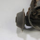 Original BMW E9 3.0 CSI CSL E3 3.0Si Zündverteiler Distributor 0231306001
