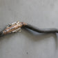 Original BMW 5er E12 520 M20 Limousine Abgasrohr ZYL.1-3 18111246459
