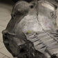 Original BMW Getriebe Getrag 242 E30 318i 242.0.0465.91 LF Gearbox OEM