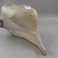 Original BMW E30 316 316i-325i M3 Flüssigkeitsbehälter  61661370788