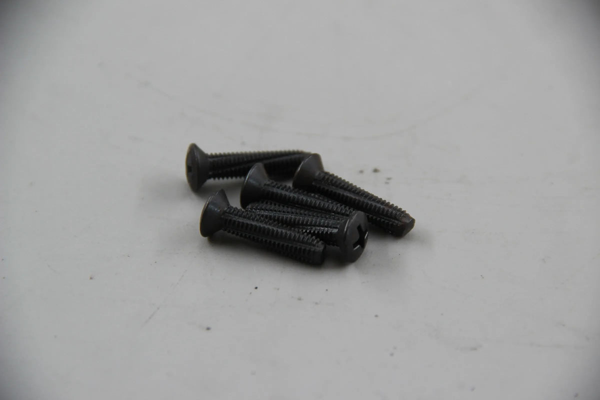 Original BMW E10 E3 5x Schneidschraube 5X22 07119918531