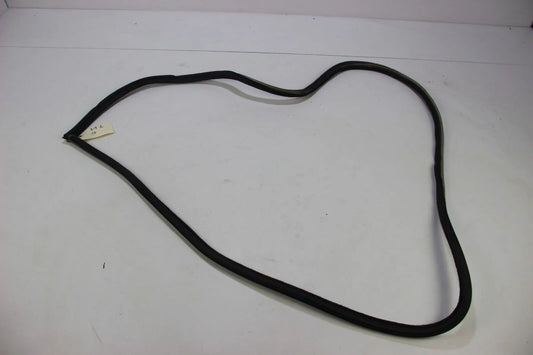 Original BMW E30 2-Türer 316i-325i M3 Türdichtung Links Kantenschutz OEM