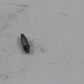 Original BMW E46 E90 E91 E60 E61  Schraubbolzen D=6X30 51458266813