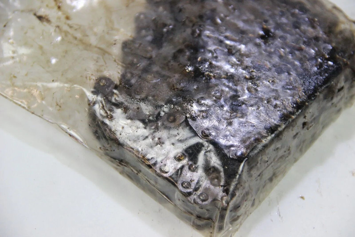 Original BMW E30 M3 S14 Steuerkette Timing Chain S14b23 2.3