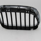Original BMW E53 X5 3.0d-4.6is Ziergitter Front rechts Niere Grille 51138250052