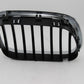 Original BMW E53 X5 3.0d-4.6is Ziergitter Front rechts Niere Grille 51138250052