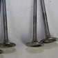 Original BMW E30 M3 S14 S14b23 2.3 8x Einlassventil Ventile 37mm Intake Valve