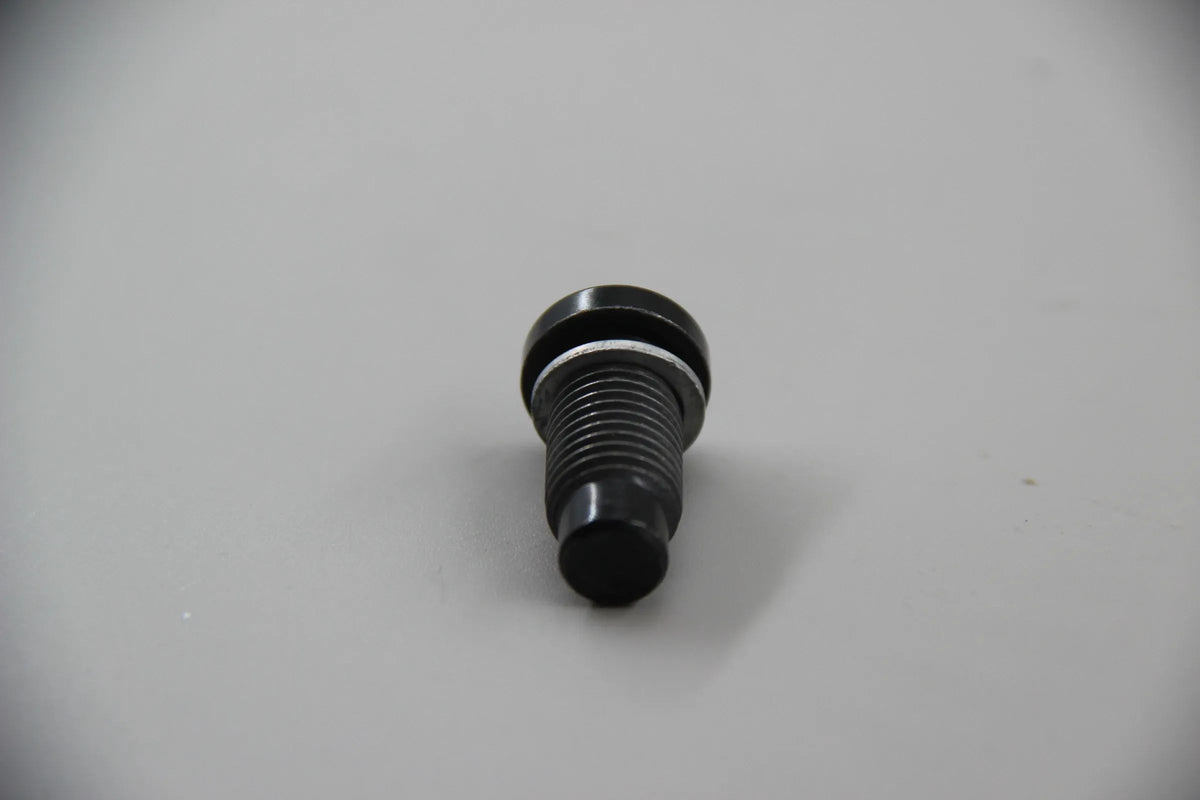 BMW E46 E39 E60 E61 E38  Verschlussschraube mit Dichtring M12X1,5X26 11121439814