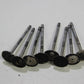 Original BMW E30 M3 S14 S14b23 2.3 8x Einlassventil Ventile 37mm Intake Valve