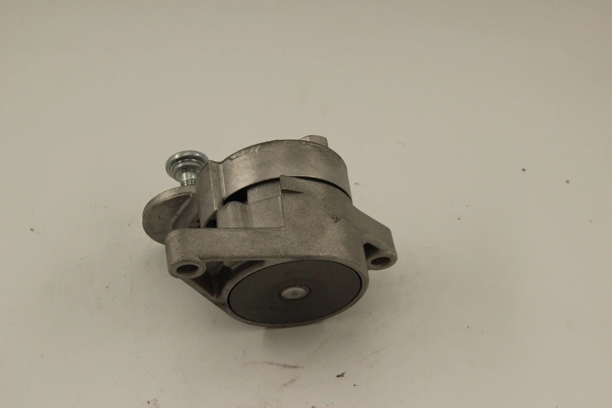Original BMW E46 E39 e38 E53 E85 Spannrolle mit Spanneinrichtung  11281433571