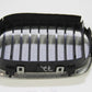 Original BMW E39 1996 Niere Kühlergrill Ziergitter Chrom  8159312