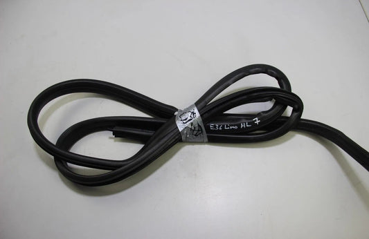 Original BMW E36 Türdichtung hinten links limousine 3er M3 325 328 325 320