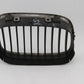 Original BMW E39 5er 520i-540i M5 Ziergitter Niere Vorne Chrom 8159311 8159312