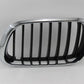 Original BMW E53 X5 3.0d-4.6is Ziergitter Front rechts Niere Grille 51138250052